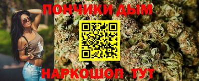 крисы Ставрополь