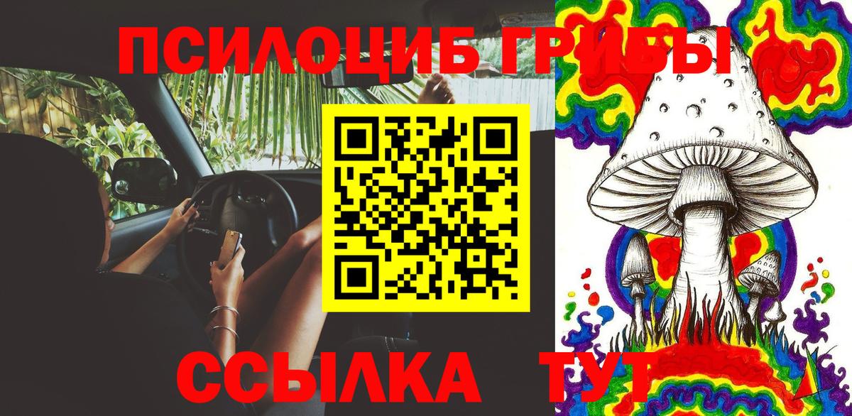 Псилоцибиновые грибы прущие грибы Новоуральск